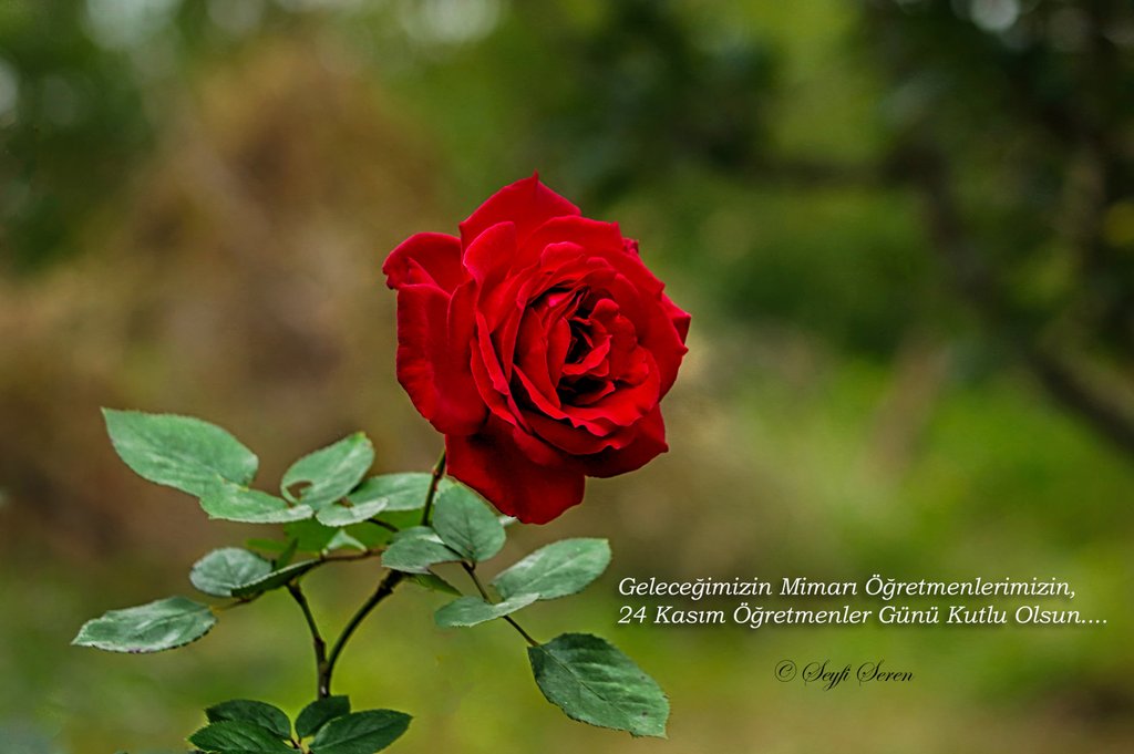 � � r e t m e n l e r i m i z e . . .