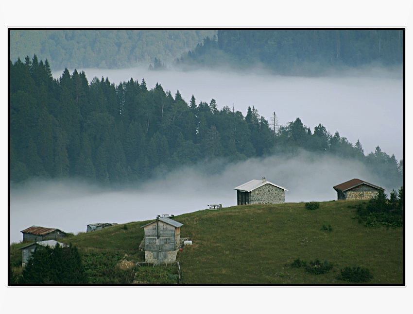 Yayla