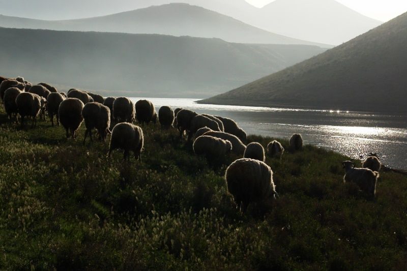 meke'den akdenizli dostuma...