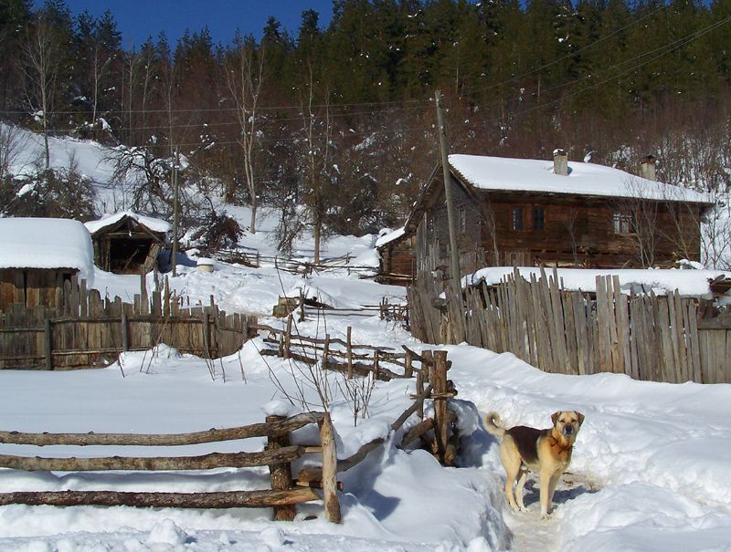 K�y�n Bek�ileri