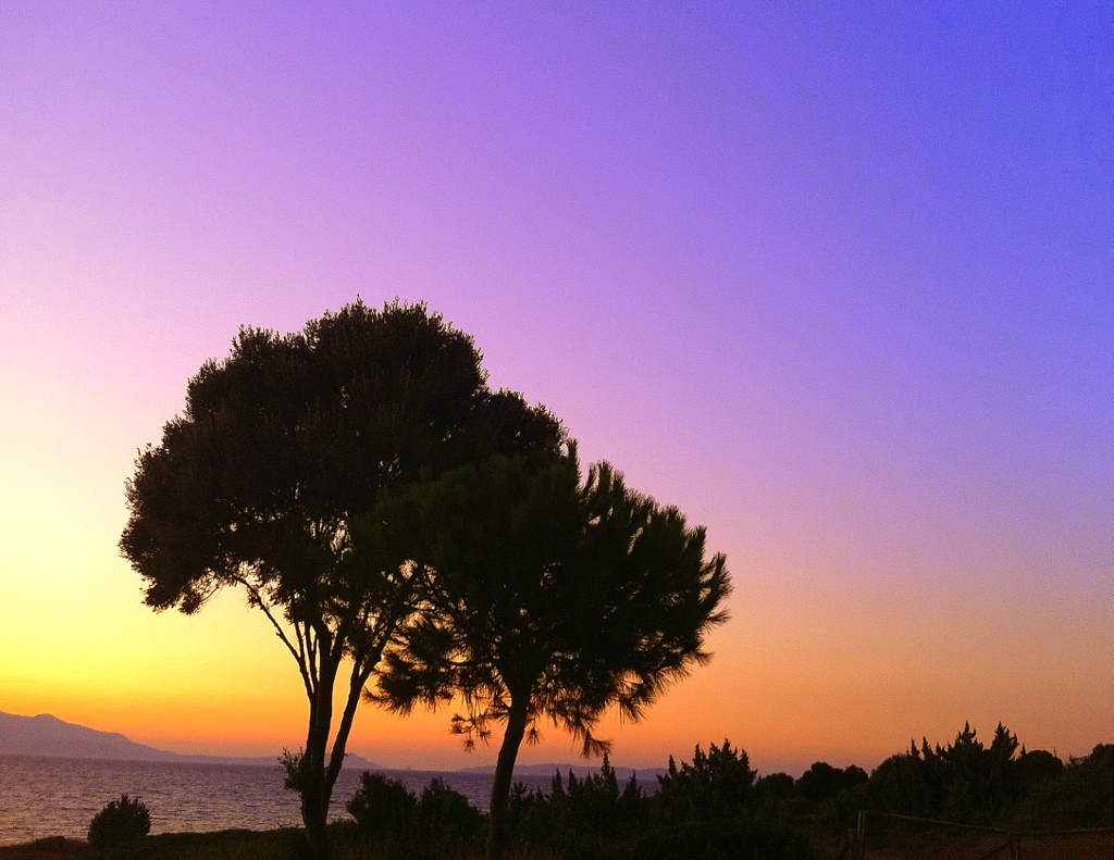 A�KIN DO�ADAK� �FADES�