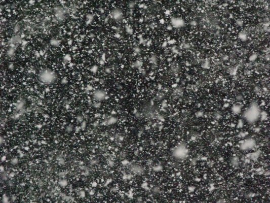 havada donmu� kar taneleri ocak 2008 