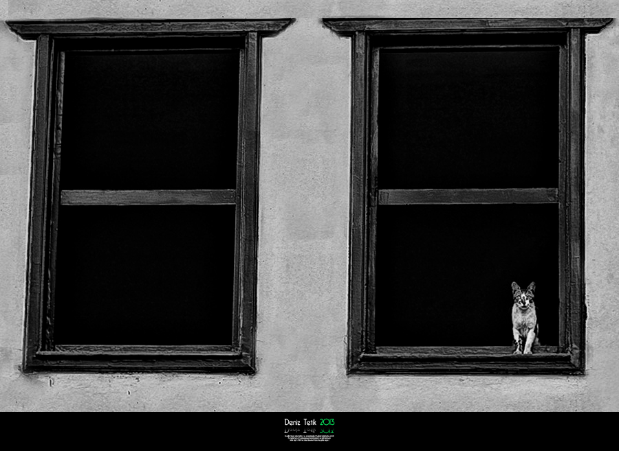 ::: ... �a�k�n ... :::