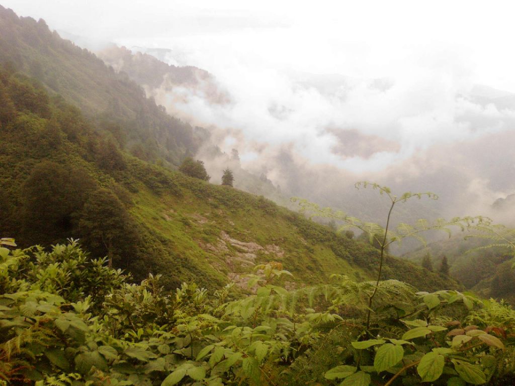 yayla yolu