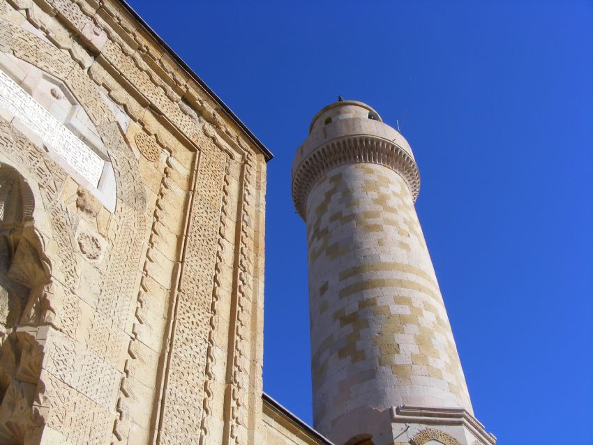 kale cAmii