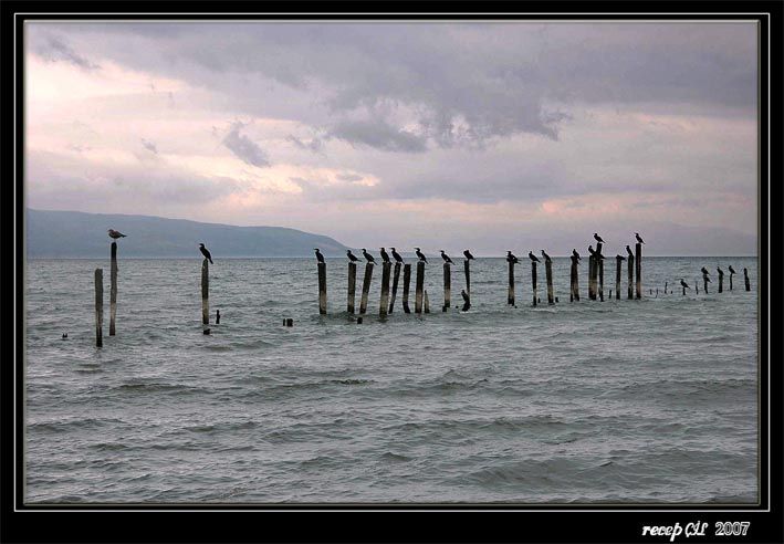 seni bekliyorum sszlkta