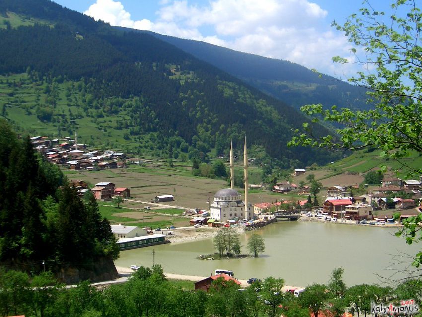 uzungl