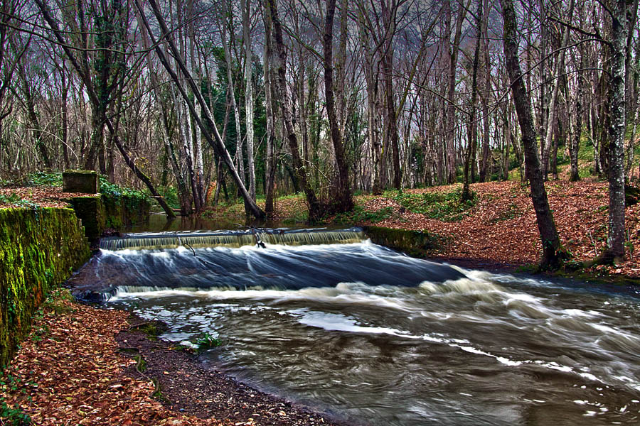 stanbul - Belgrad Orman