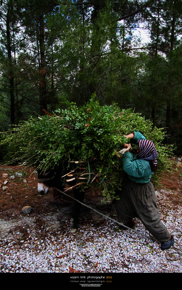 ... ::: Kadnlarmz ::: ... 