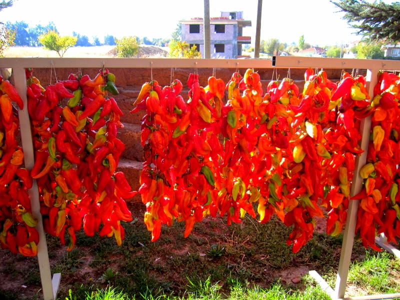 Kale biberleri, Denizli