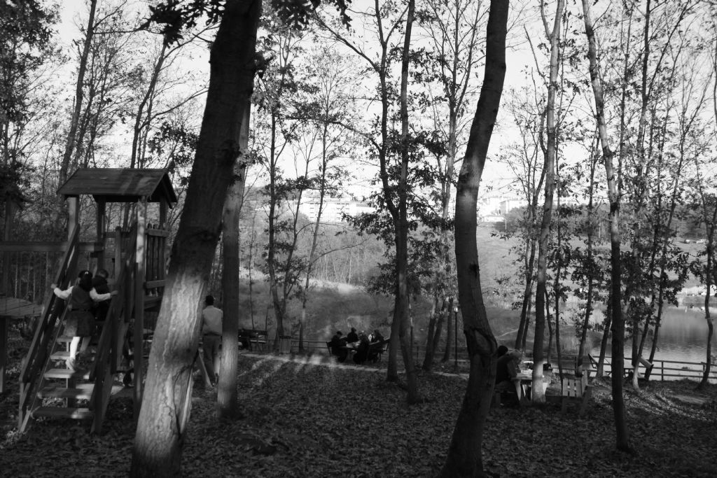 Ya�amdan bir kesit