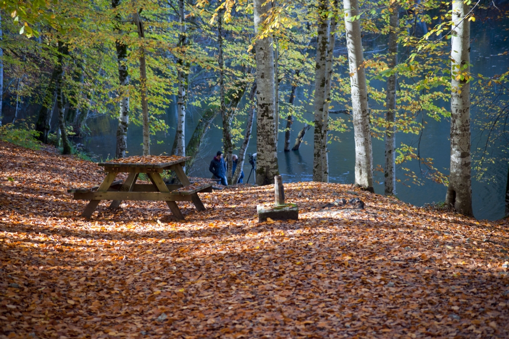 bir i�im huzur bulmak