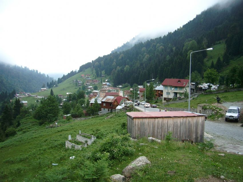 karadeniz yeili..