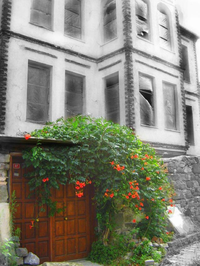 hayalet evin sarmaklar