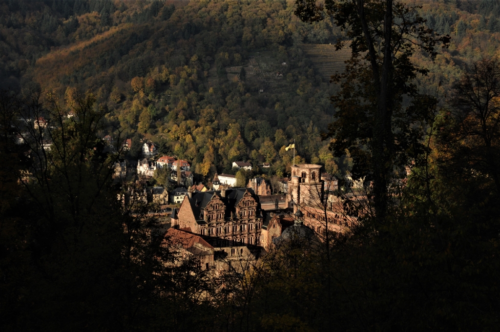 Heidelberg-3