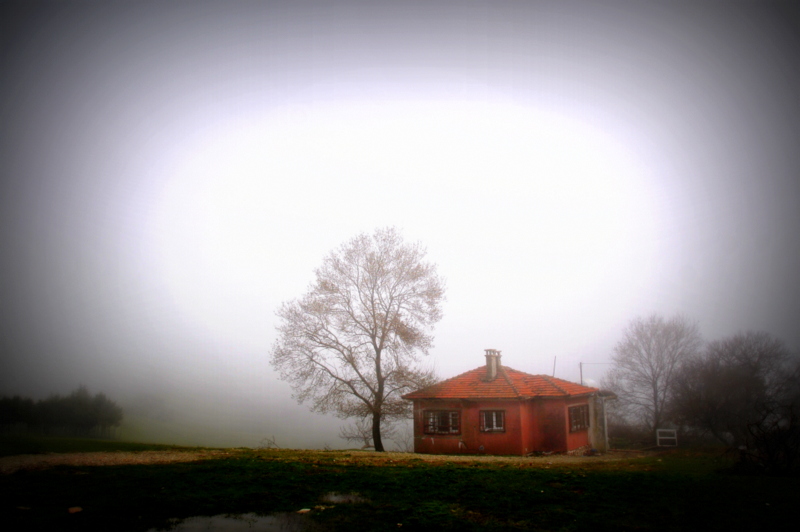 sisler arasndaki ev 