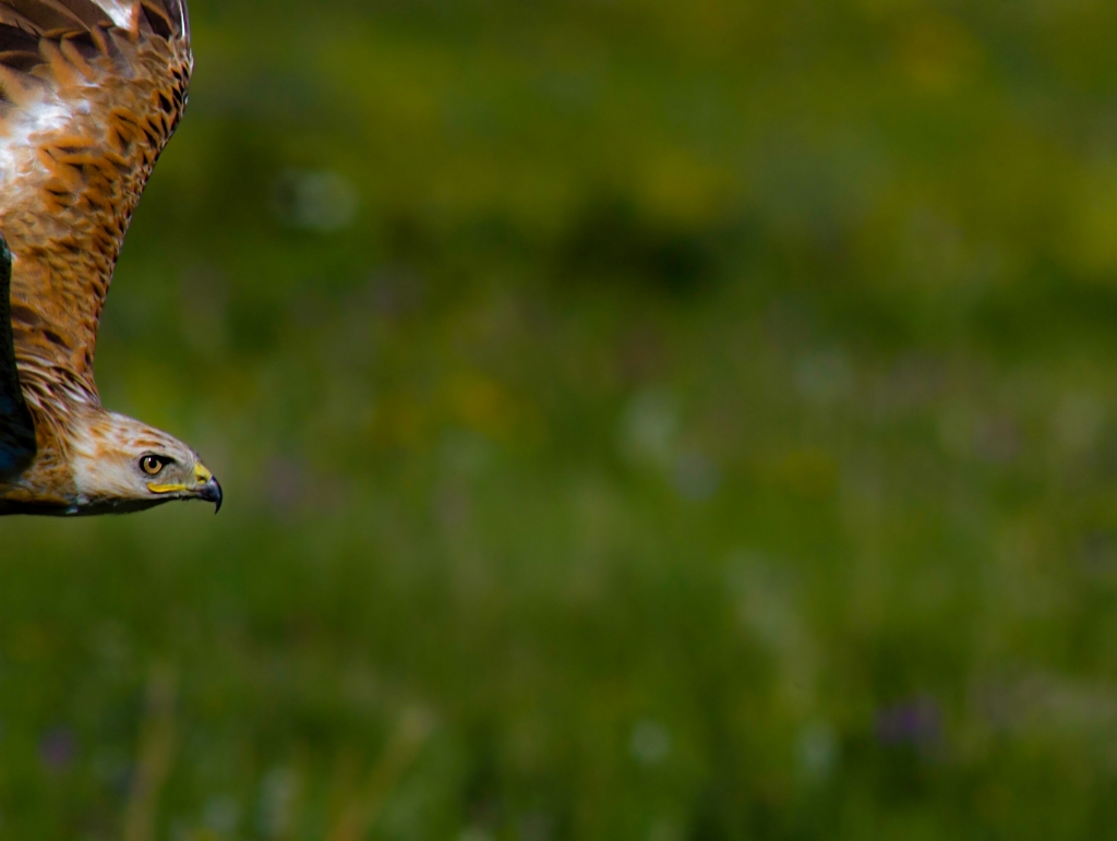 Kadraja giremeyenler........