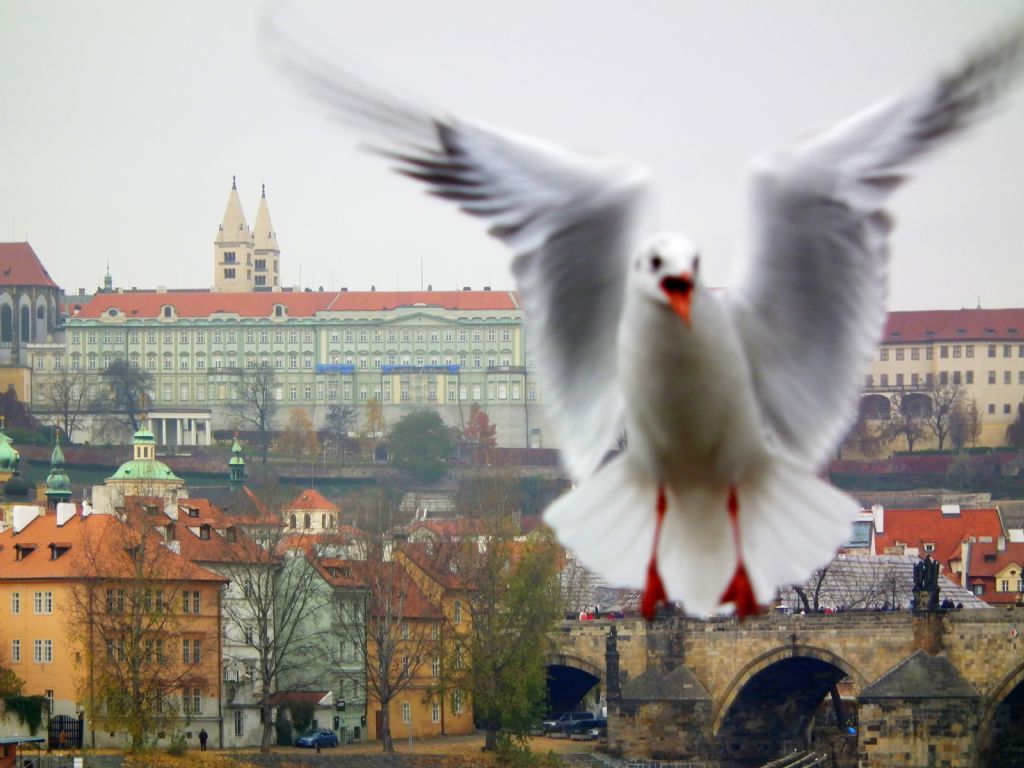 Prag'da bir hayalet