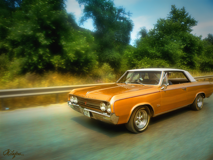 Hz Deil,haz in!!!! F-85