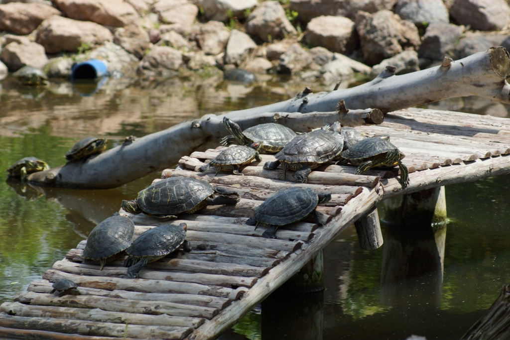 A�IN K�PR�Y�... 