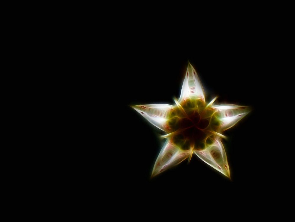 Tesla's Wild Fractal Flower