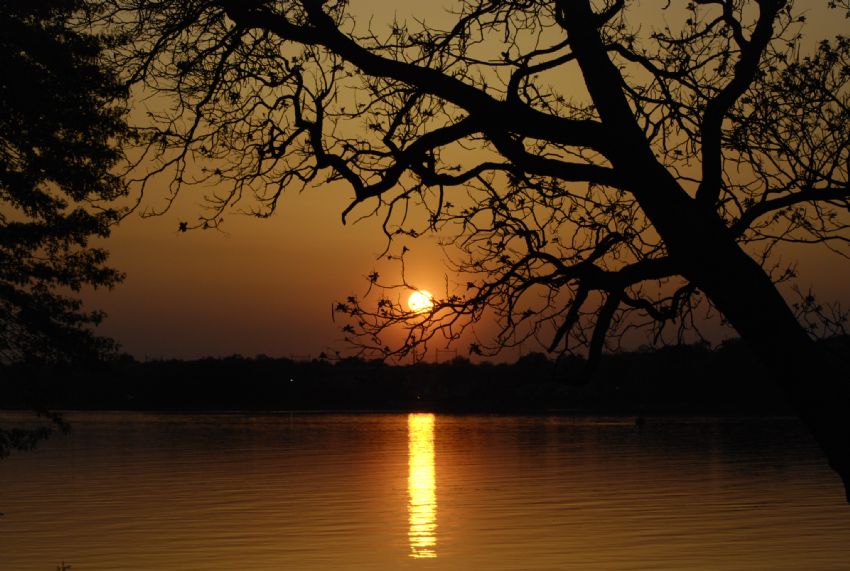 Gune$ Yuva Yapmi$ Sogut Dalina :)