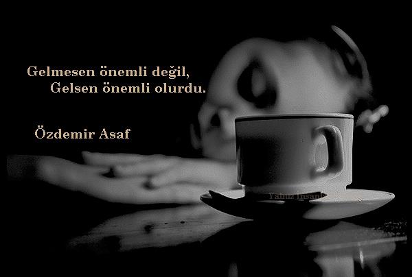 s�yledim anlad�n m�?