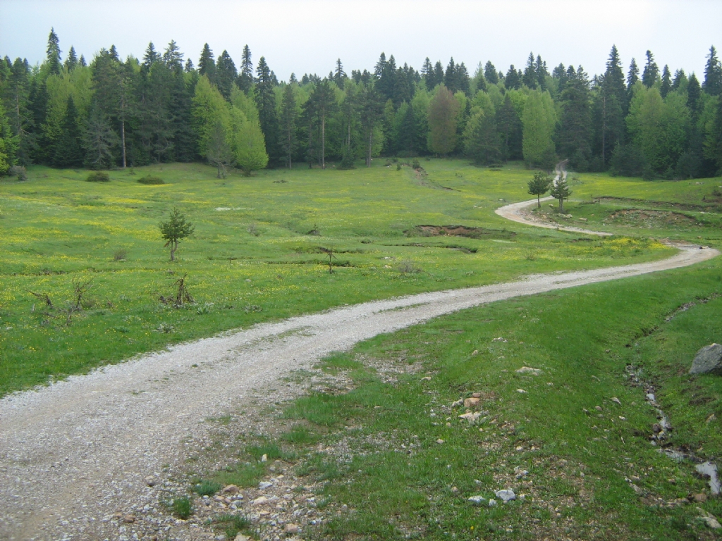 ''me�hule giden yol''