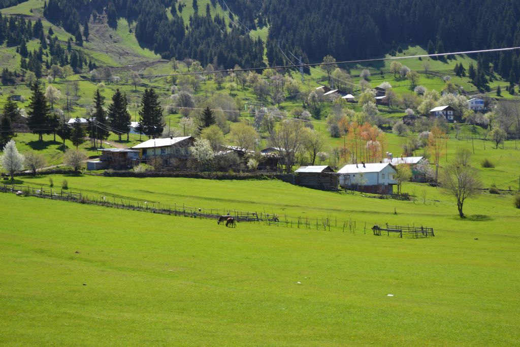 ilkbaharda artvin