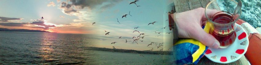 bir yudum ay iimliktir yalova'dan bu yana...