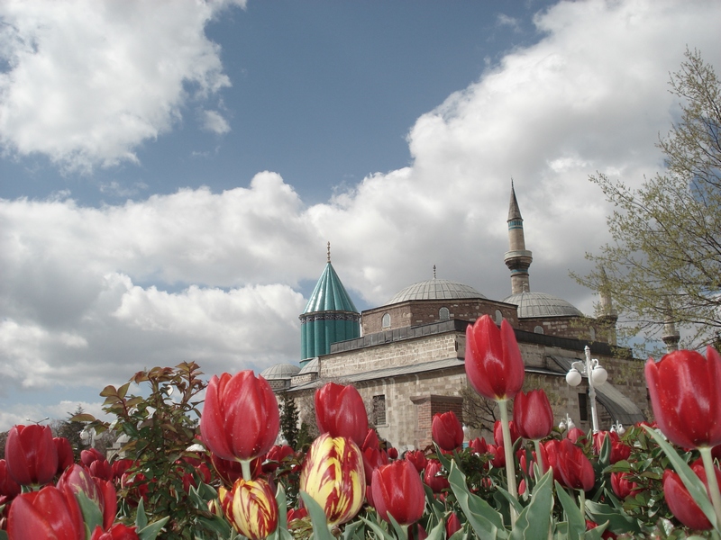 konya mevlana &lale