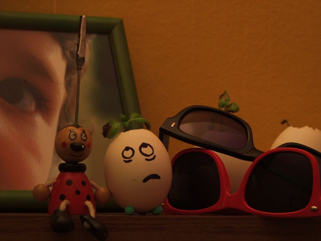 yumurta,gzlk,ite yle....