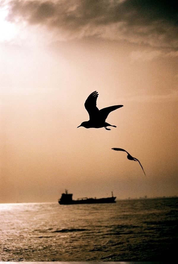 �zg�rl���n Manzaras�