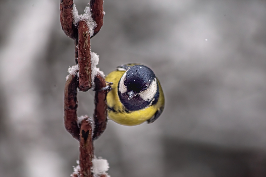  K���k bir ku� gibi tutundu�umuz....