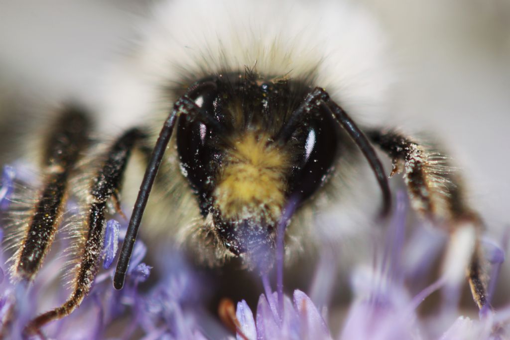 macroda bende varm :)