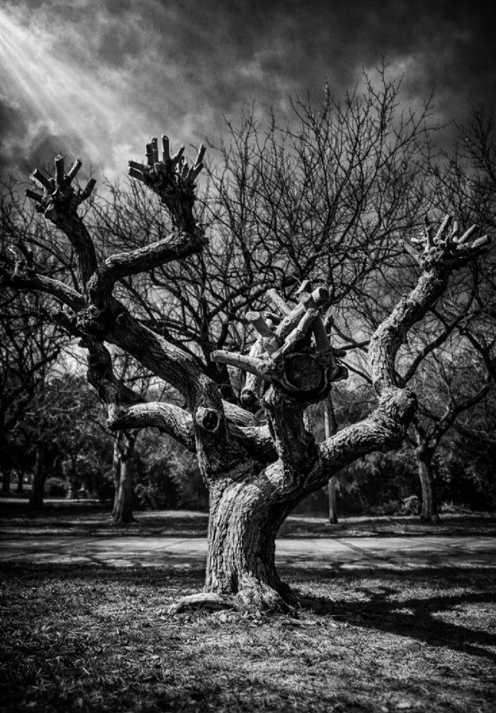 Sessiz bekleyi�....