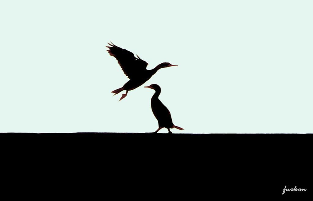 Yok kimseye eywallah�m..