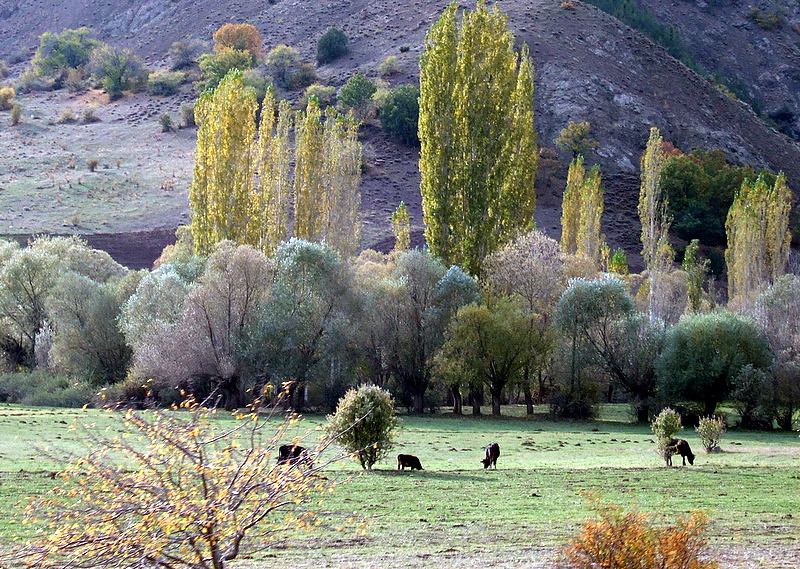 sonbahara girerken