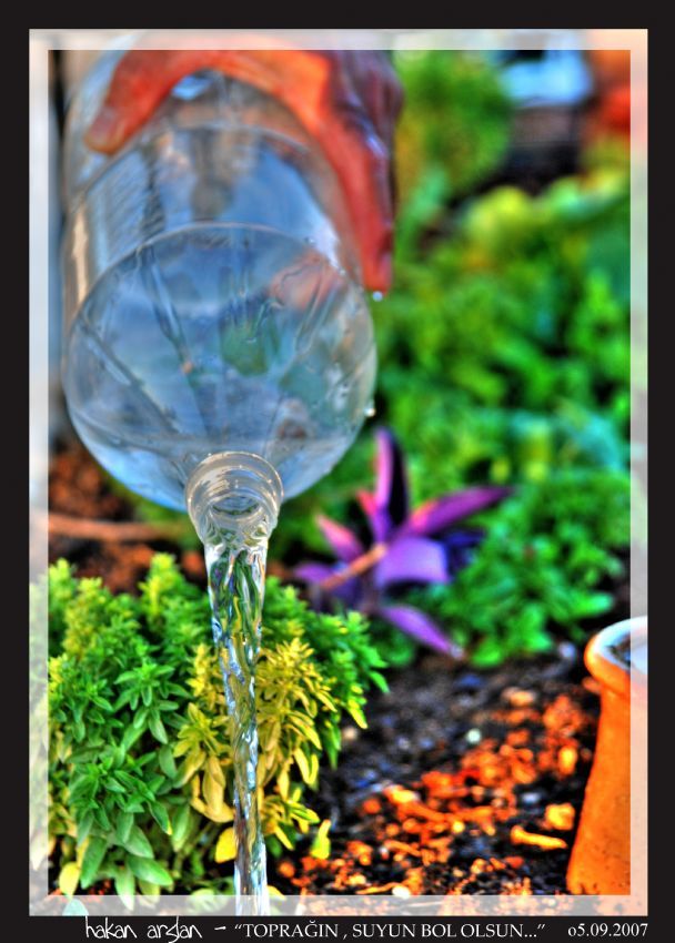 TOPRAIN , SUYUN BOL OLSUN !..