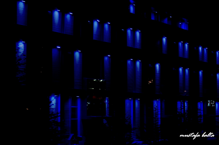 Akam diyordun ite oldu akam 