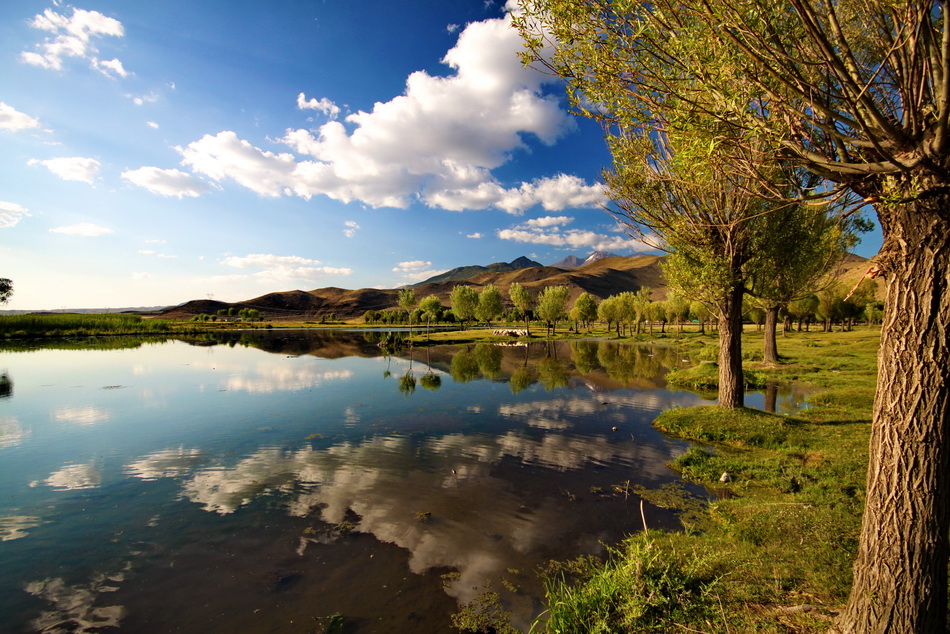 Baharla Birlikte Ruhum da Isnr