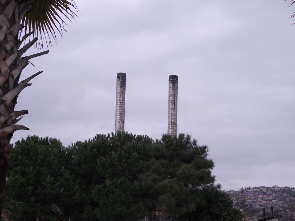 tabiat�n bacalar�