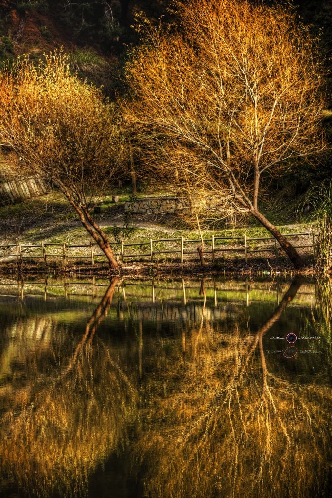 Bir Son Bahar Karesi...