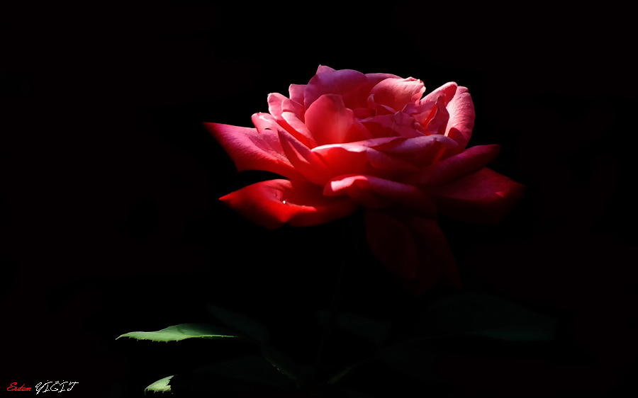 HO�GELD�N RAMAZAN