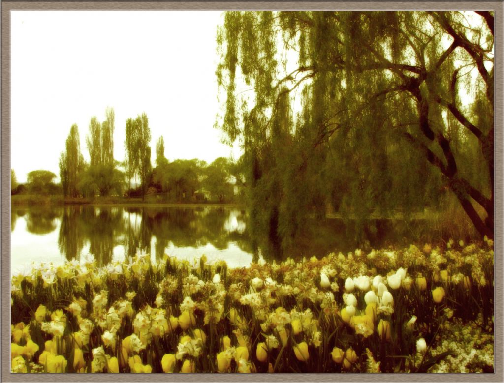 Canberradan bir kesit