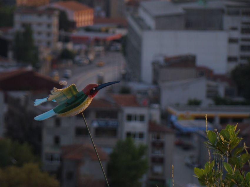 Doal hayat koruyalm..