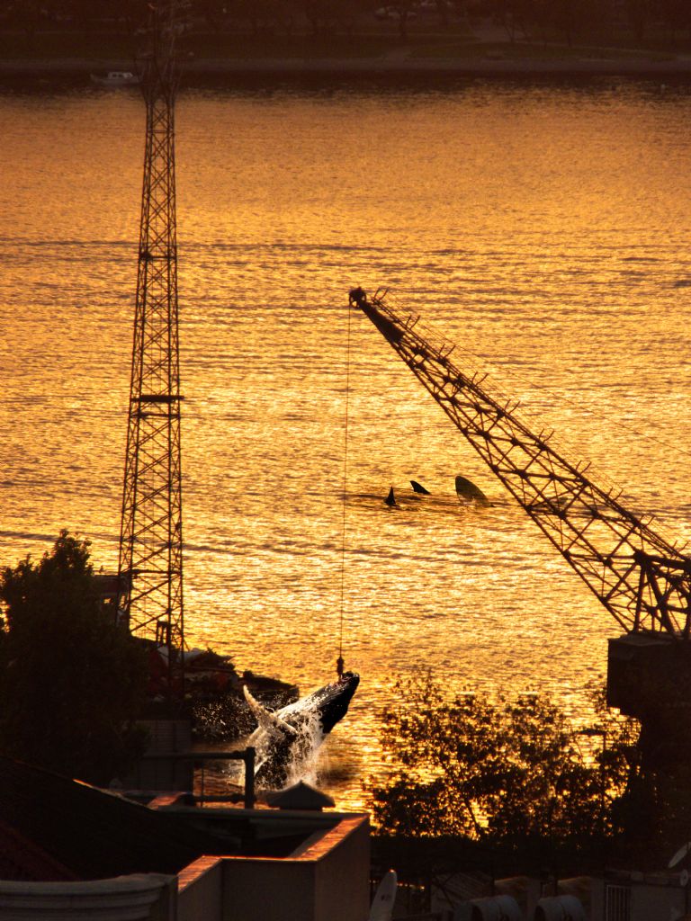 Hali Tersanesinde ziyaretiler