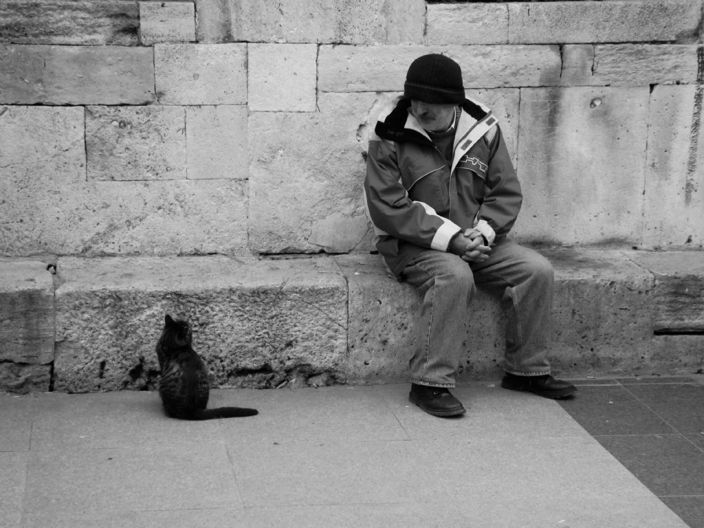 Emin�n� Kedi ve Adam