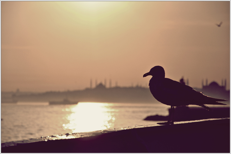 stanbulu Dinliyorum Kanatlarm Kapal