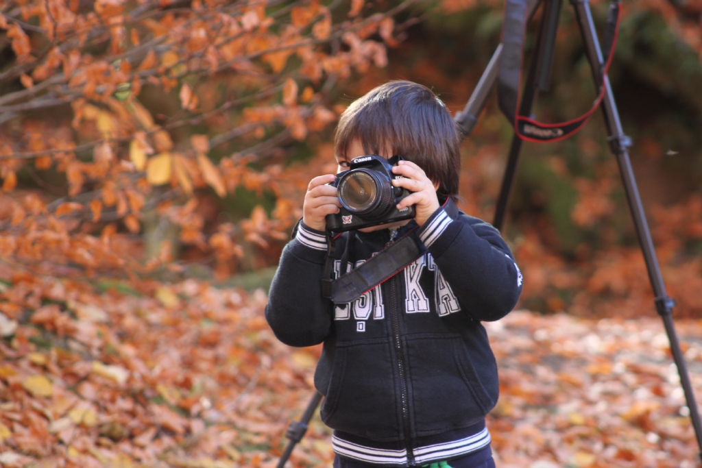 Demir tavnda dvlr(Torunum)